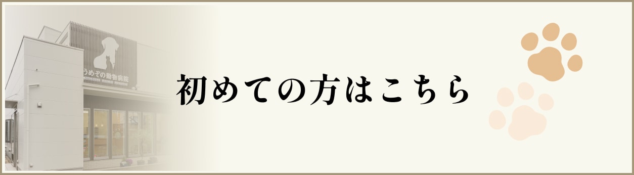 初めての方はこちら