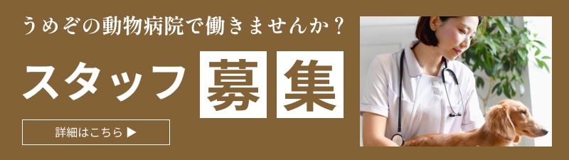 うめぞの動物病院で働きませんか？スタッフ募集